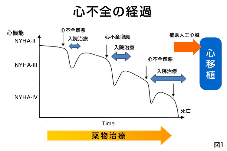 拡張型心筋症について 患者様へ 株式会社icornet研究所